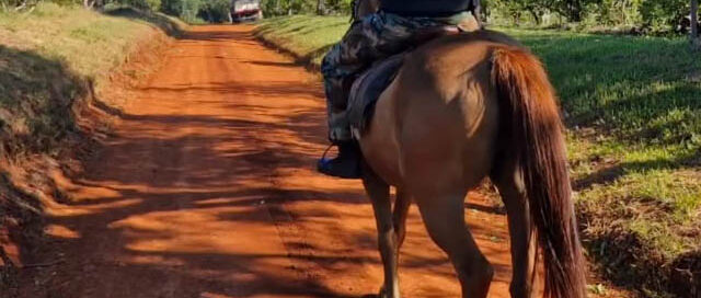 Campo Ramón: la Policía desplegó un mega operativo rural de seguridad en zonas alejadas