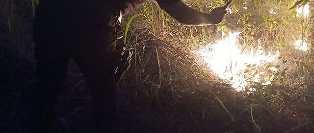 Un incendio de gran magnitud afectó 15 hectáreas en Santo Pipó y zonas aledañas