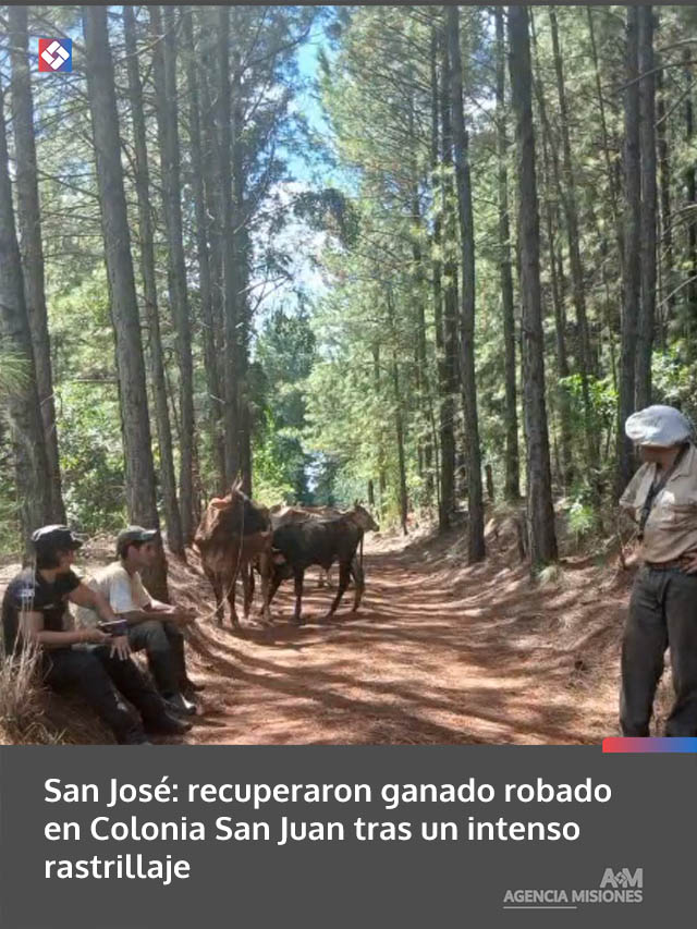 San José: recuperaron ganado robado en Colonia San Juan tras un intenso rastrillaje