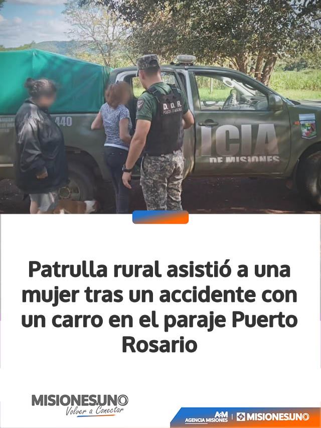 poli2-247
