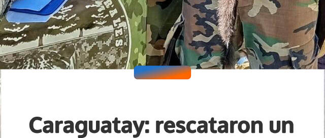 Caraguatay: rescataron un mono capuchino que era mantenido en cautiverio en una vivienda rural