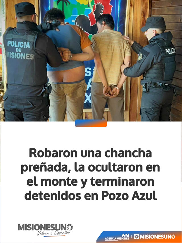 Robaron una chancha preñada, la ocultaron en el monte y terminaron detenidos en Pozo Azul