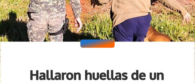 Hallaron huellas de un felino de gran porte en una zona rural de Campo Grande