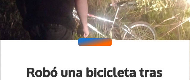 Robó una bicicleta tras ganarse la confianza del perro, pero la Policía la recuperó en San Pedro