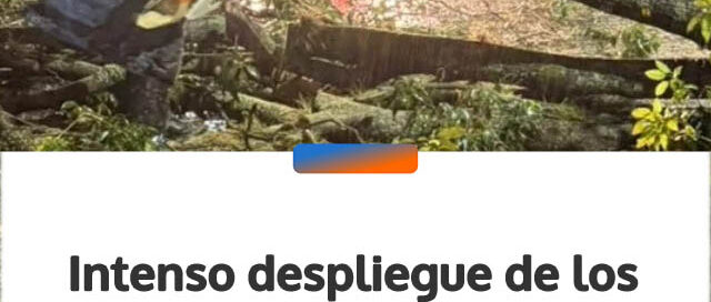 Intenso despliegue de los bomberos por incendios y temporales en Misiones